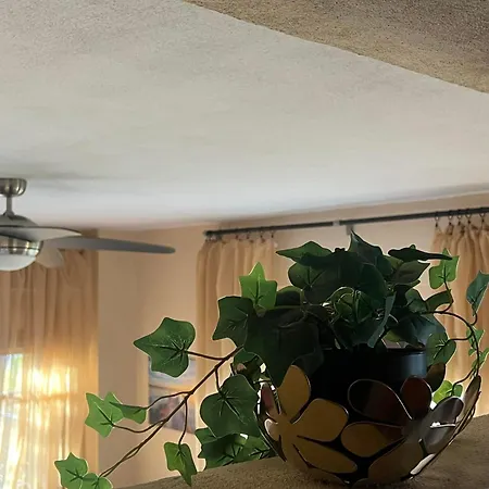 Next To The Sea * Nea Roda